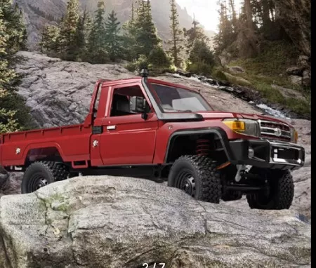 MN82 Toyota Land Cruiser LC79